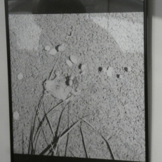 P2060766