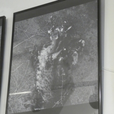 P2060767