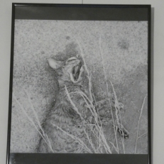 P2060769