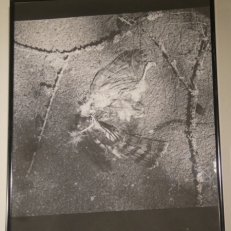 P2060771
