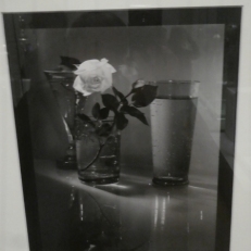P2060984