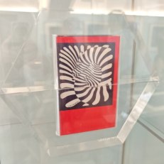 IMG_20250813_185538