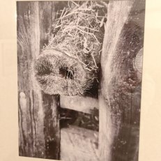 IMG_20250805_175756
