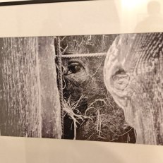 IMG_20250805_175817