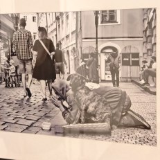 IMG_20250805_175829