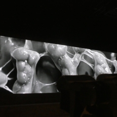 P2090238