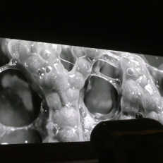 P2090239