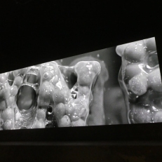 P2090246