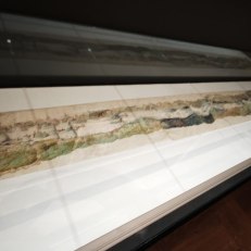 MVIMG_20250915_142046