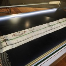 MVIMG_20250915_142605