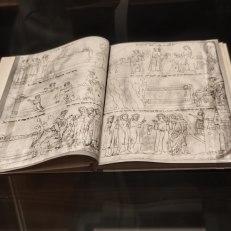 MVIMG_20250915_142821