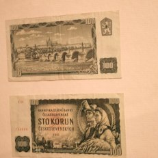 MVIMG_20250915_143028