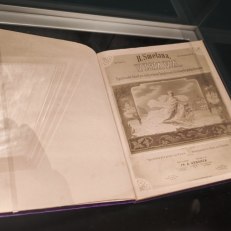 MVIMG_20250915_143121