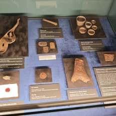 MVIMG_20250915_144231