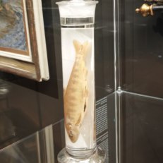 MVIMG_20250915_144447