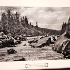 MVIMG_20250915_144543