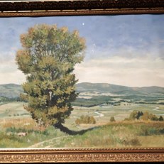 MVIMG_20250915_144616