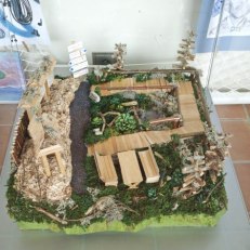 MVIMG_20250915_145339