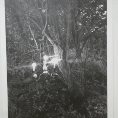 P1940044