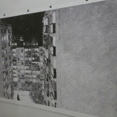 P1940049