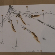 P1050502