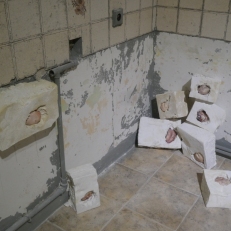 P1940697