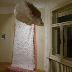 P1940719