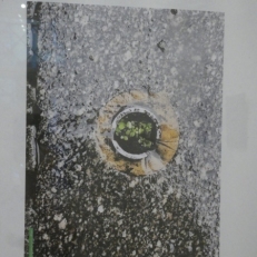 P2120749