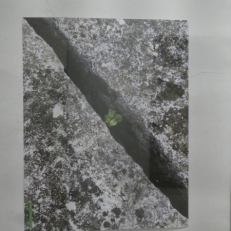 P2120750