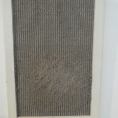 P2090393