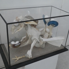 P2090557