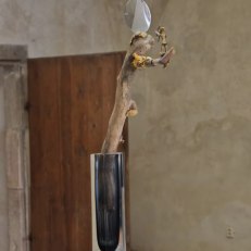 IMG_20260528_110755