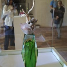 IMG_20260528_111138
