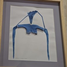 IMG_20260528_111603