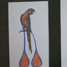 IMG_20260528_112748