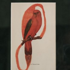 IMG_20260528_112810