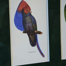 IMG_20260528_112830