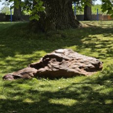 IMG_20260528_115306