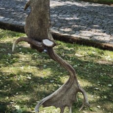 IMG_20260528_120129