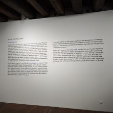IMG_20260528_121503