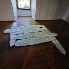 IMG_20260528_122322