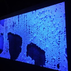 IMG_20260528_124959