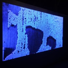 IMG_20260528_125006