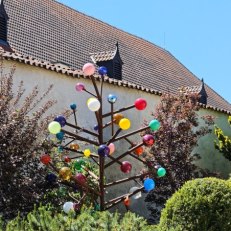 IMG_20260528_131613