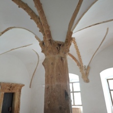 MVIMG_20250522_112246