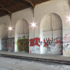 DSCF5376