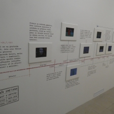 P1950696