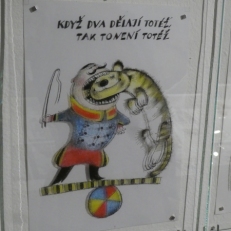 P1950829