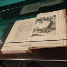 MVIMG_20250529_191945