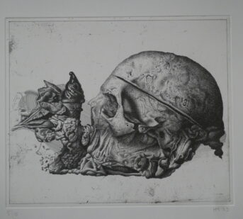 ilustrace výstavy